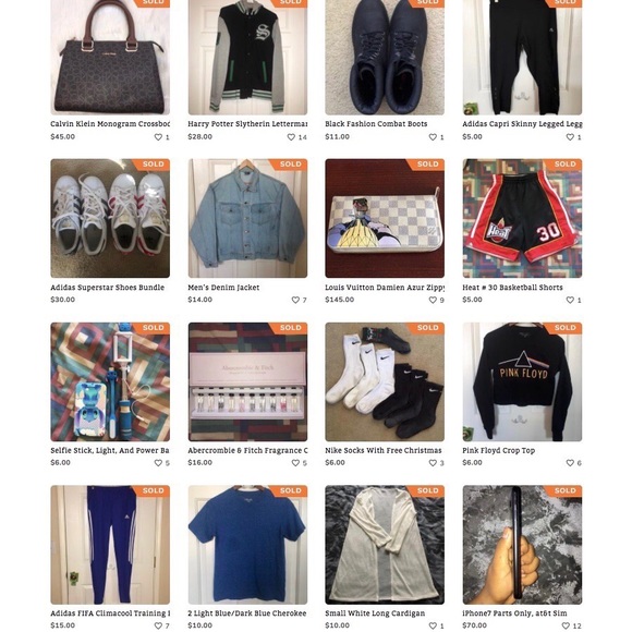 Meet Your Posher, Bruno, And See Our Ratings 🐶 - Picture 5 of 7